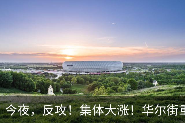 今夜，反攻！集体大涨！华尔街重磅发声，AI暴跌虚惊一场？