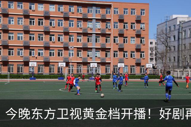 今晚东方卫视黄金档开播！好剧再次来袭！演员阵容不错