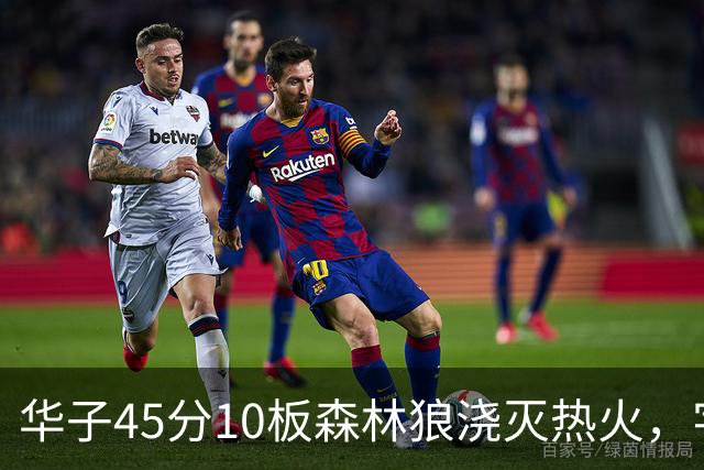 华子45分10板森林狼浇灭热火，字母哥首秀35+6三球21分6助攻