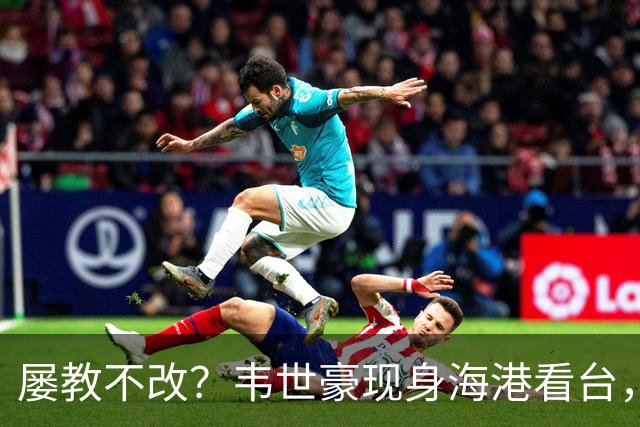 屡教不改？韦世豪现身海港看台，怒指场内骂不停，此前被禁赛5场