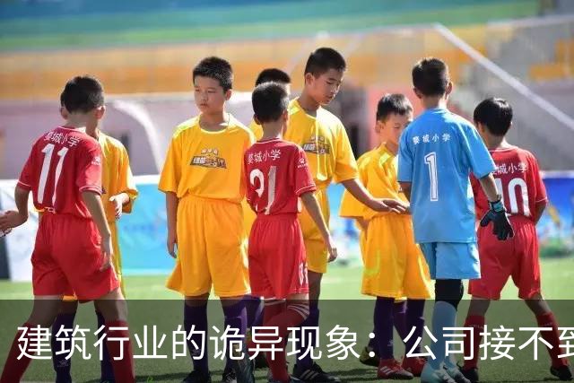 建筑行业的诡异现象：公司接不到项目却在疯狂上市，员工没活硬干，有设计师吐槽：地还没拿下，施工图出三版了！