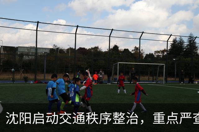沈阳启动交通秩序整治，重点严查违停、电动车违法