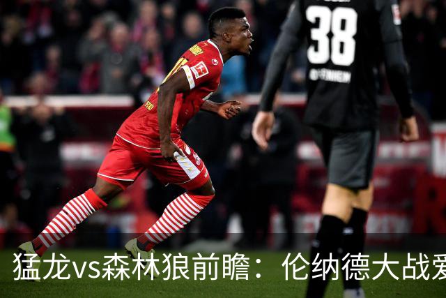 猛龙vs森林狼前瞻：伦纳德大战爱德华兹，一场不同风格的强硬对决