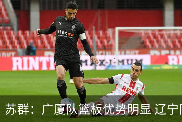 苏群：广厦队篮板优势明显 辽宁队前途凶险