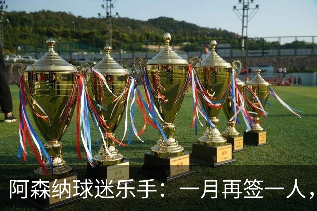 阿森纳球迷乐手：一月再签一人，我们能赢下一切