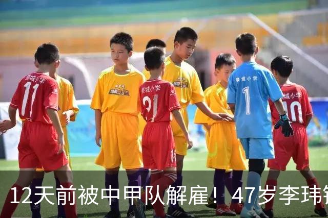 12天前被中甲队解雇！47岁李玮锋拒绝带货：与董路合作 笑言升官了