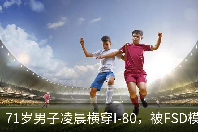 71岁男子凌晨横穿I-80，被FSD模式特斯拉撞死
